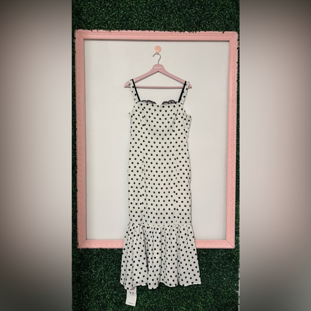 NWT Polka Dot Dress - no size tag. Maybe size M
